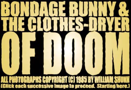 Bondage Bunny and the Clothes-Dryer of Doom