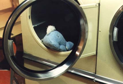 Bondage Bunny and the Clothes-Dryer of Doom