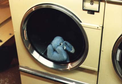 Bondage Bunny and the Clothes-Dryer of Doom