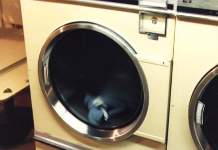 Bondage Bunny and the Clothes-Dryer of Doom