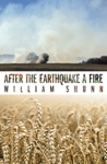 'After the Earthquake a Fire' by William Shunn