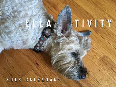 Ella-tivity 2018 13-Month Calendar