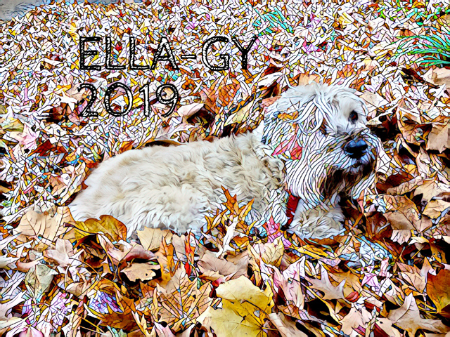 Ella-gy 2019 Calendar