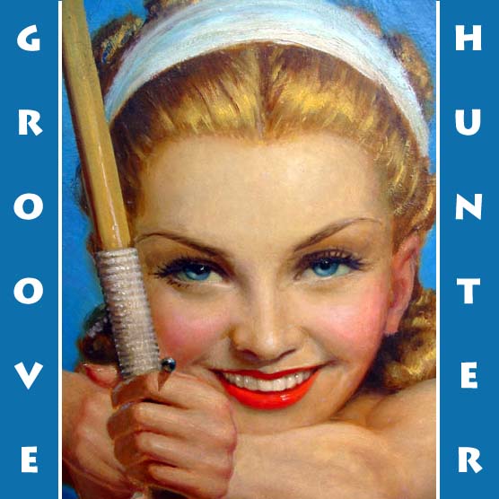 Groove Hunter